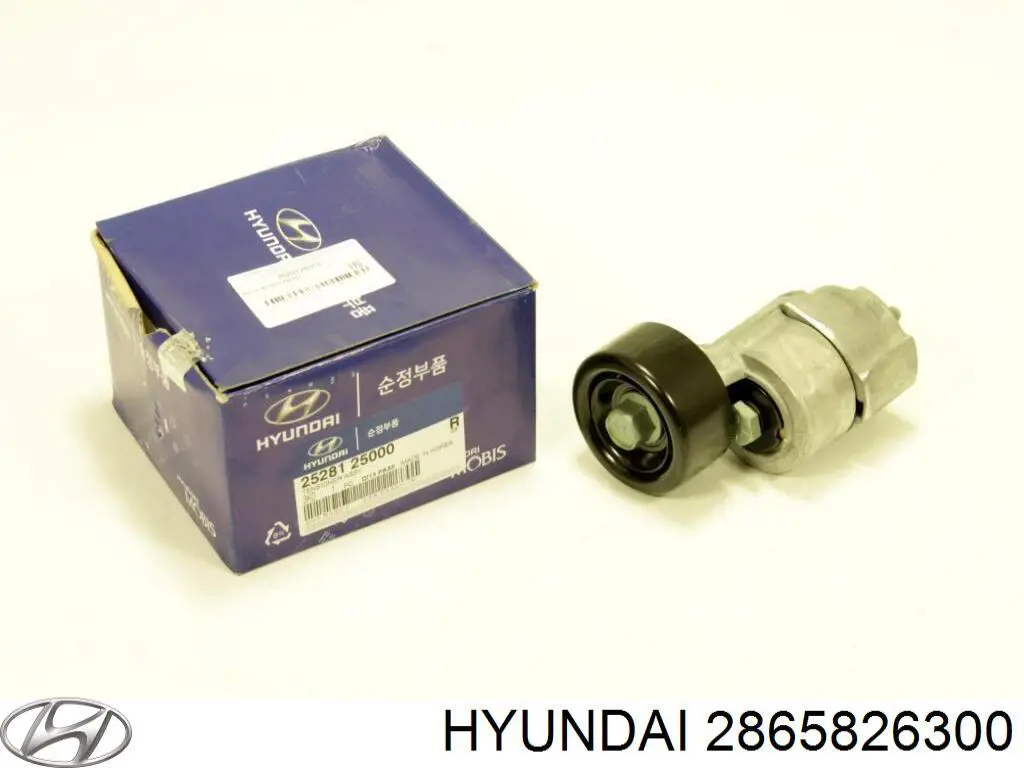 Купити 2865826300 Hyundai/Kia 