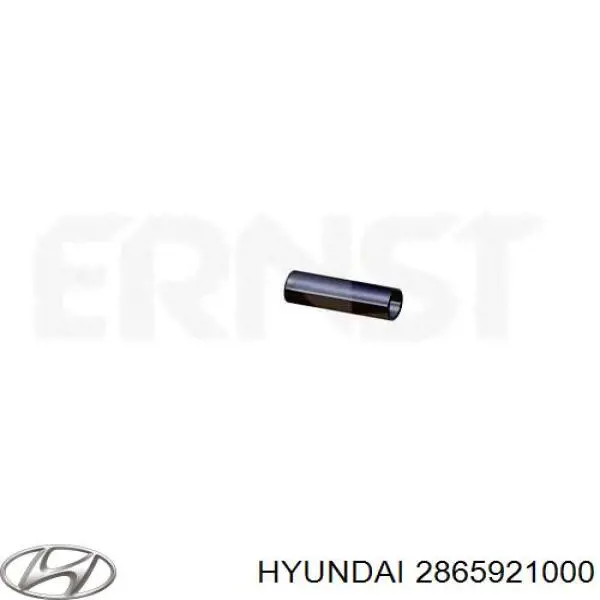  2865921000 Hyundai/Kia