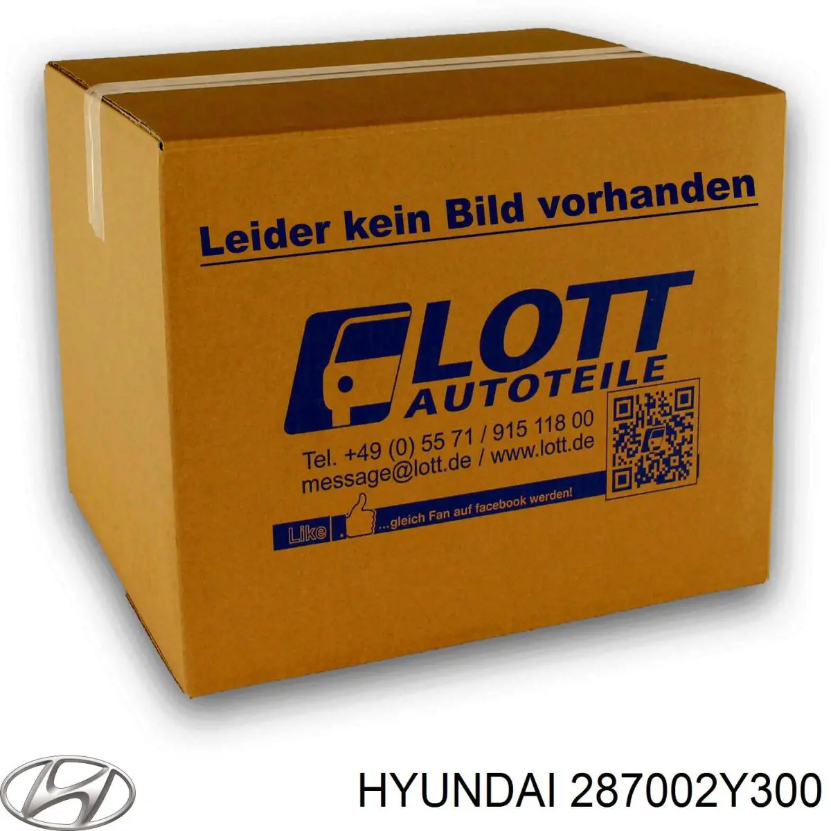 Вихлопна труба Hyundai/Kia 287002Y300 ціна, від 137.53 USD