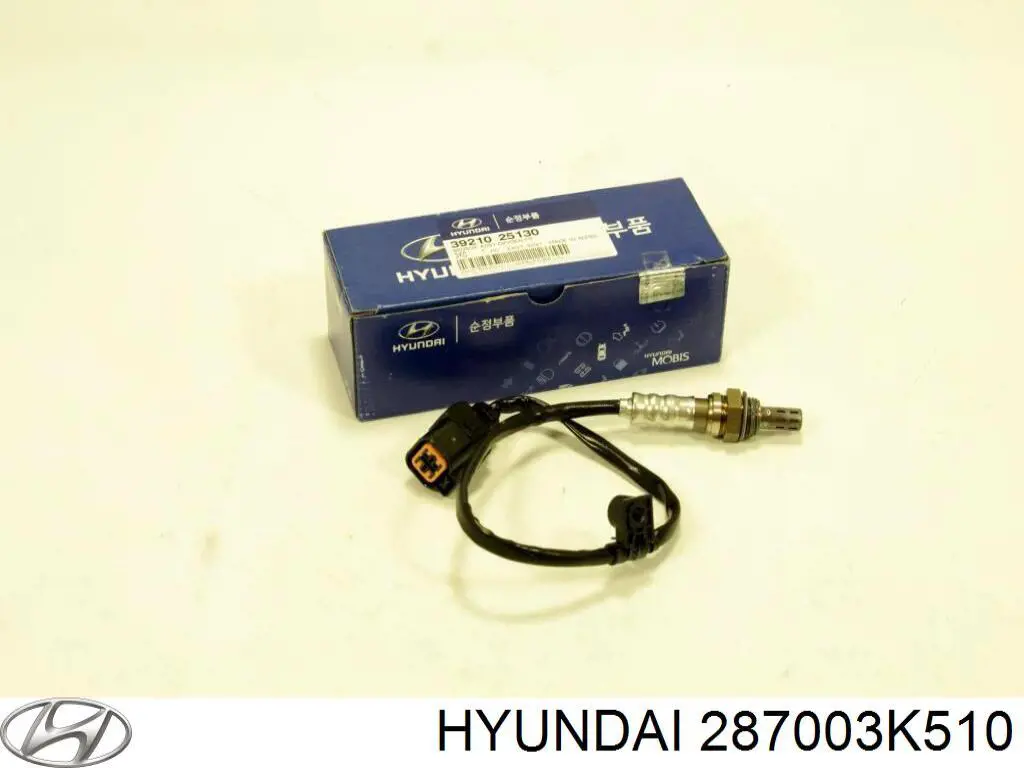 287003K510 Hyundai/Kia глушник, задня частина