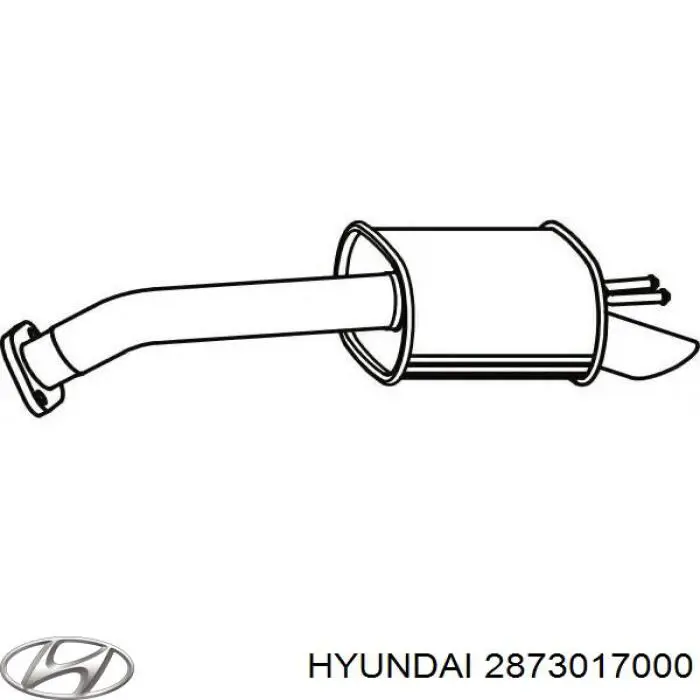 Вихлоп Hyundai/Kia 2873017000 ціна, від 52.94 USD