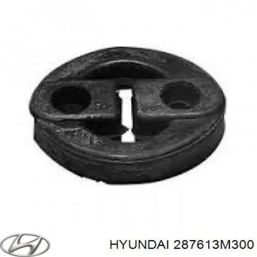 287613M300 Hyundai/Kia 