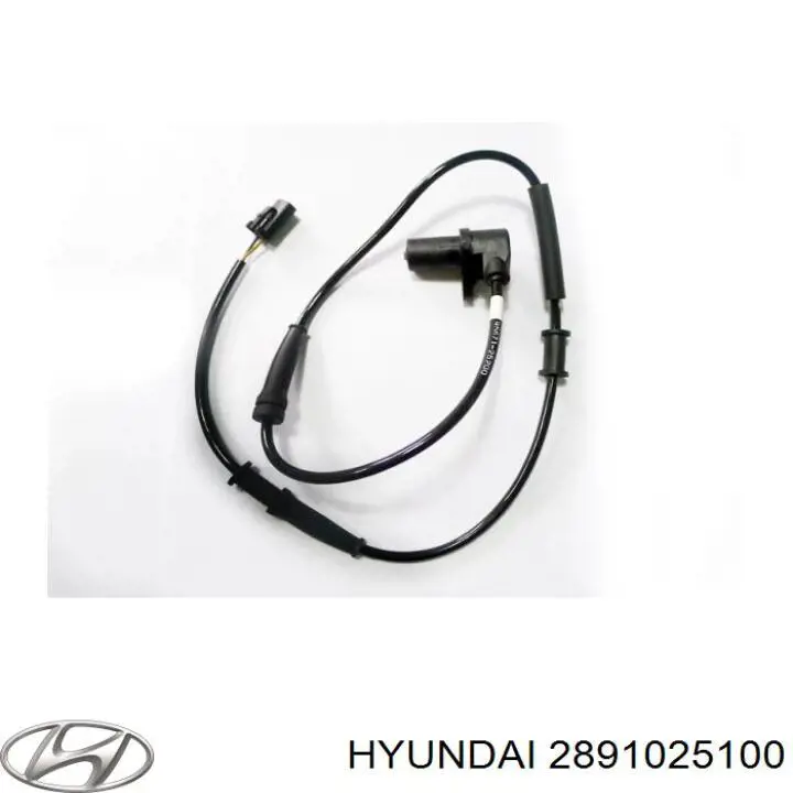 Клапан продувки каталізатора 2891025100 Hyundai/Kia