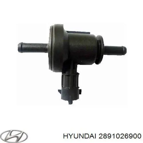 Клапан продувки каталізатора 2891026900 Hyundai/Kia