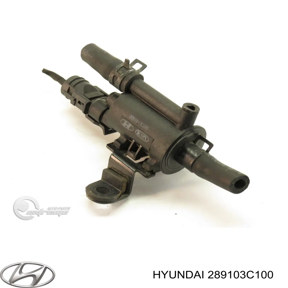 Клапан вентиляції газів паливного бака 289103C100 Hyundai/Kia