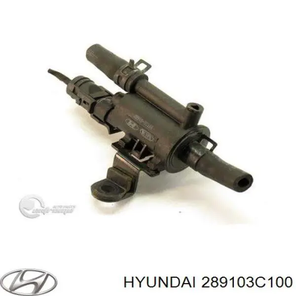 Клапан вентиляції бензобака Hyundai/Kia 289103C100 ціна, від 14.99 USD