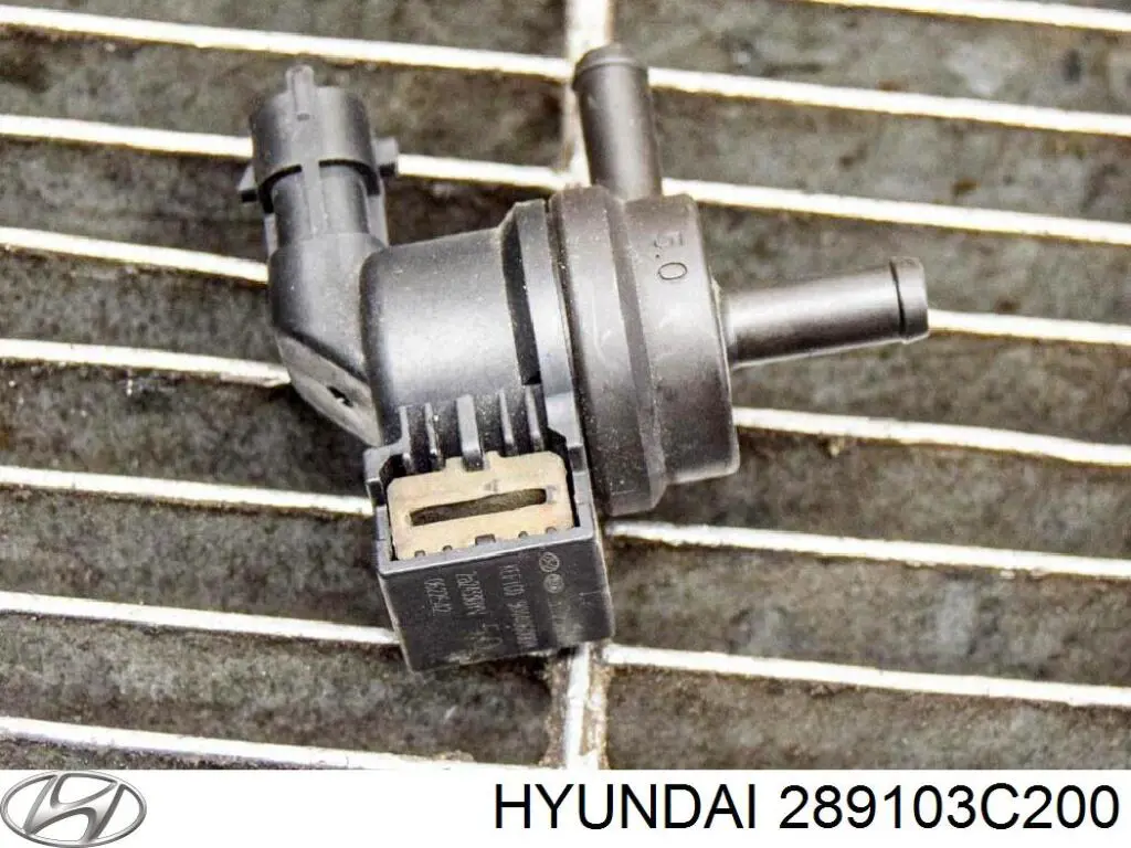 Клапан абсорбера паливних парів Hyundai/Kia 289103C200