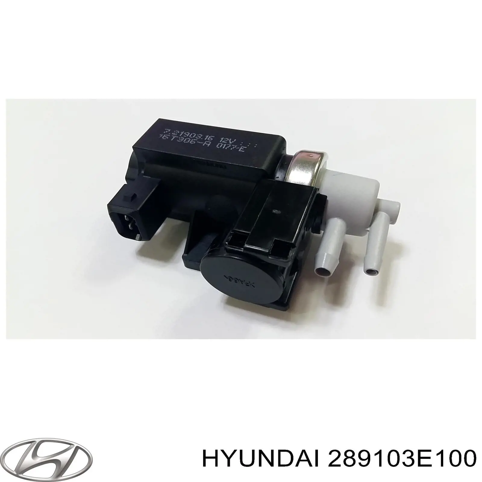 289103E100 Hyundai/Kia Клапан продувки каталізатора