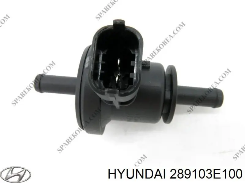Клапан продувки каталізатора Hyundai/Kia 289103E100 ціна, від 13.07 USD