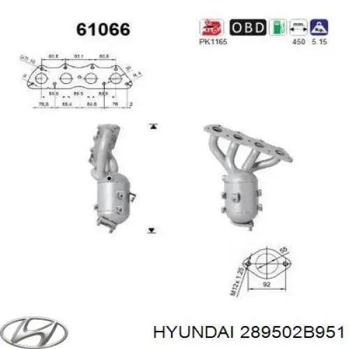 289502B951 Hyundai/Kia Каталітичний нейтралізатор відпрацьованих газів
