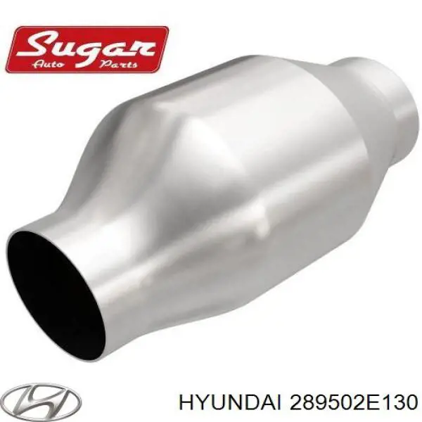 Купити 289502E130 Hyundai/Kia 
