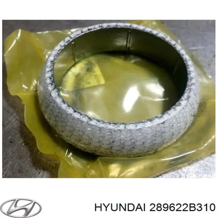 Прокладка прийомної труби глушника Hyundai/Kia 289622B310 ціна, від 18.60 USD