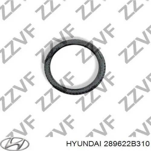 289622B310 Hyundai/Kia Прокладка штанів
