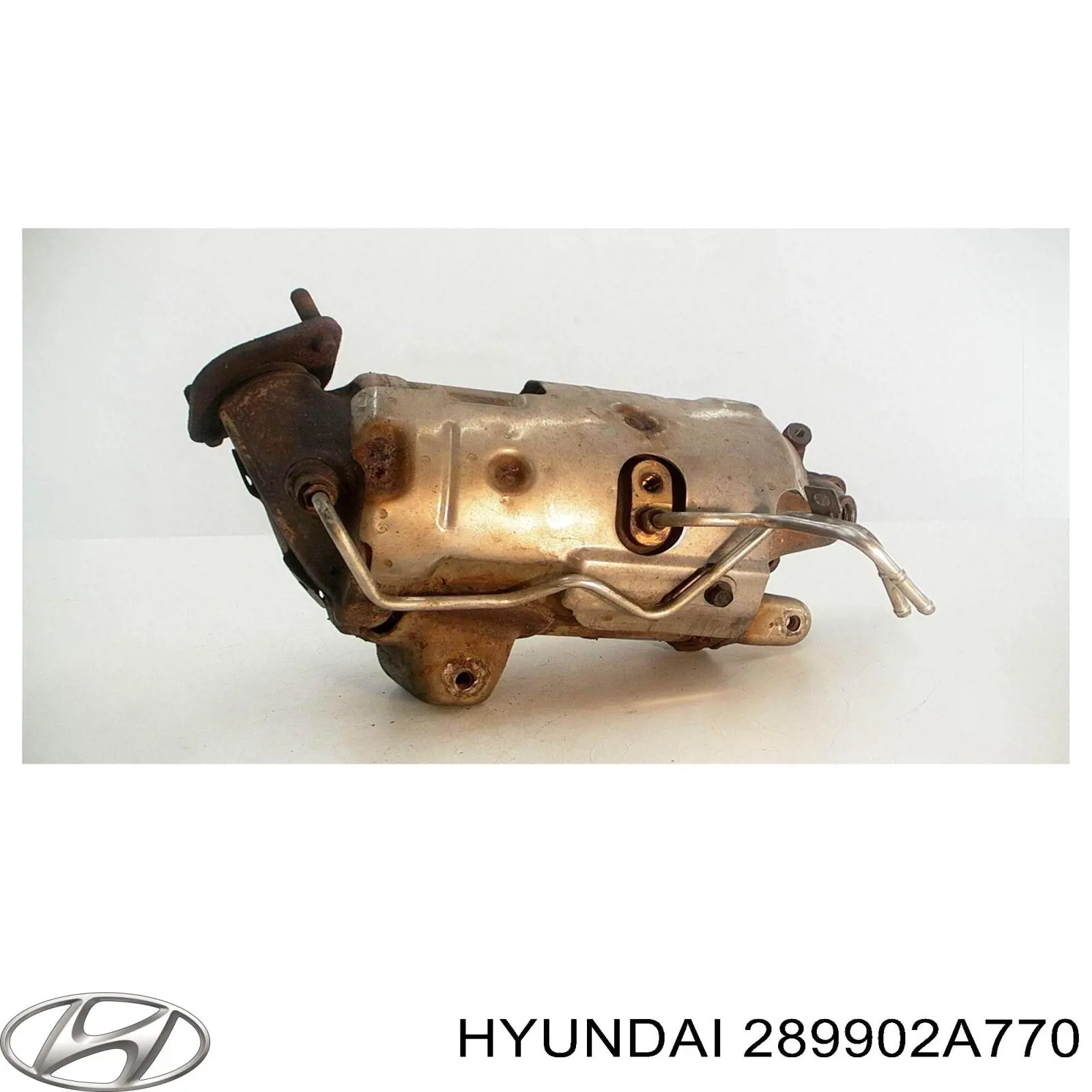Фільтр системи відпрацьованих газів AS/Auto Storm FD5054 ціна, від 326.77 USD
