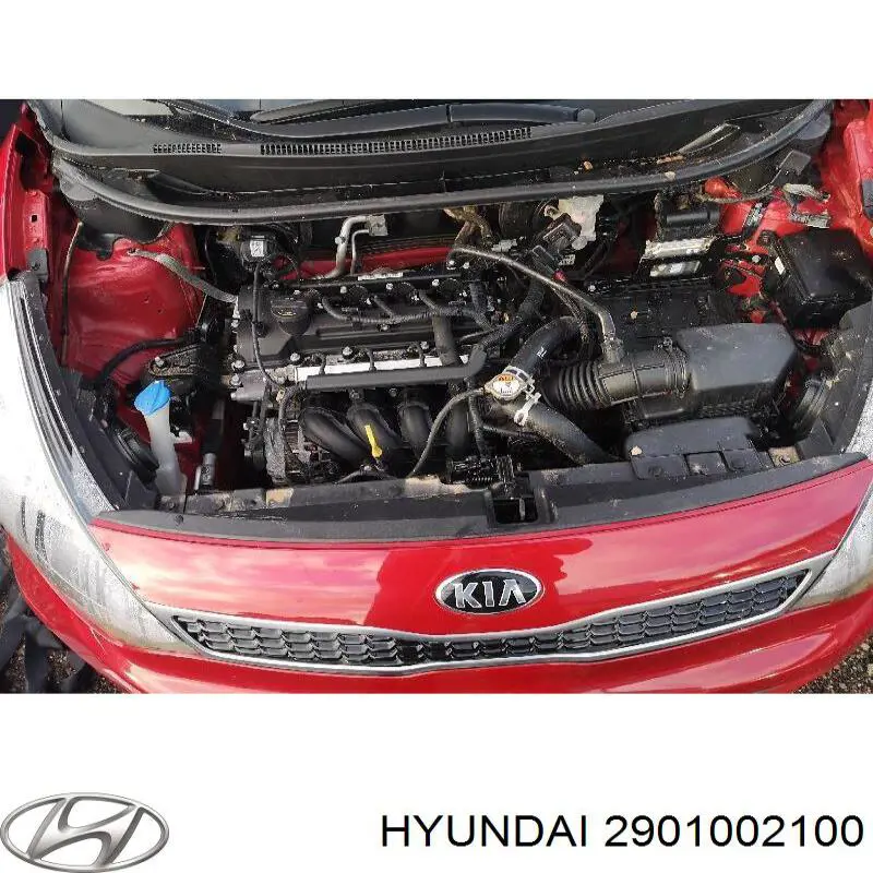 Купити 2901002100 Hyundai/Kia 