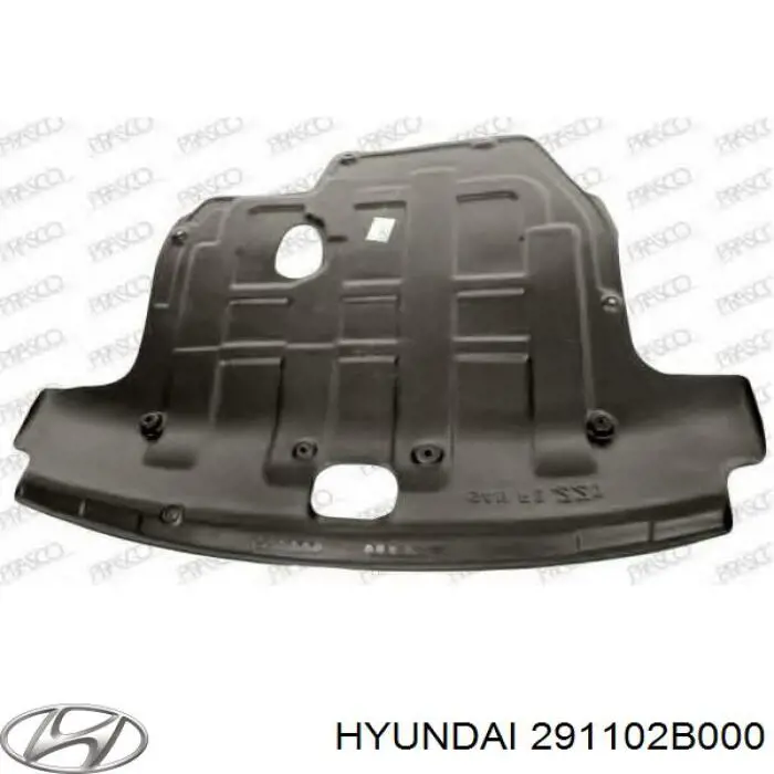 Захист двигуна, піддона (моторного відсіку) Hyundai Santa Fe 2 (CM) (Хендай Санта фе)