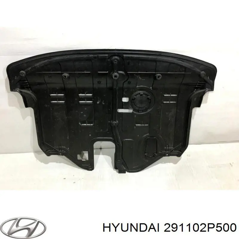 291102P500 Hyundai/Kia захист двигуна, піддона (моторного відсіку)