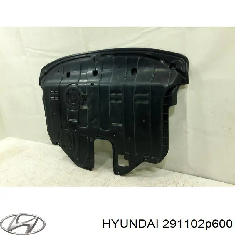 291102P600 Hyundai/Kia Захист піддона двигуна