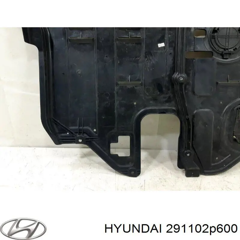 Захист двигуна 291102P600 Hyundai/Kia