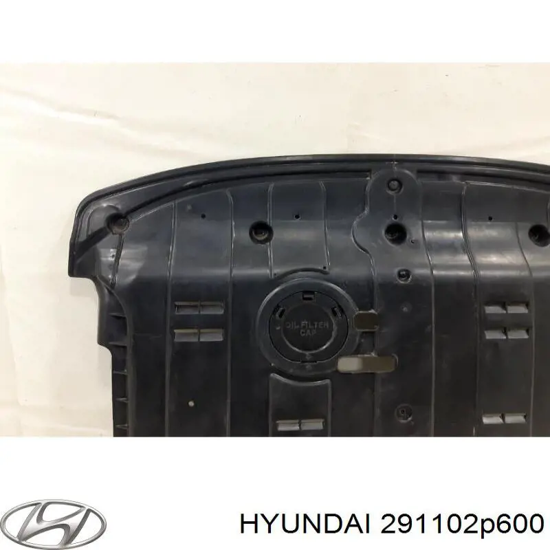 Захист моторного відсіку Hyundai/Kia 291102P600 ціна, від 106.91 USD