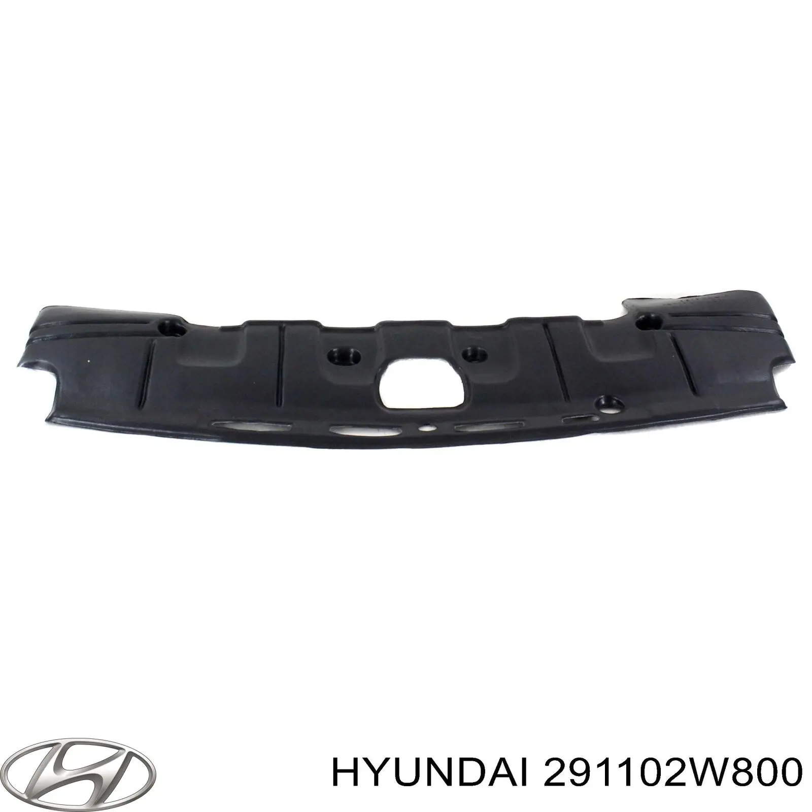 Захист моторного відсіку Hyundai/Kia 291102W800 ціна, від 43.47 USD