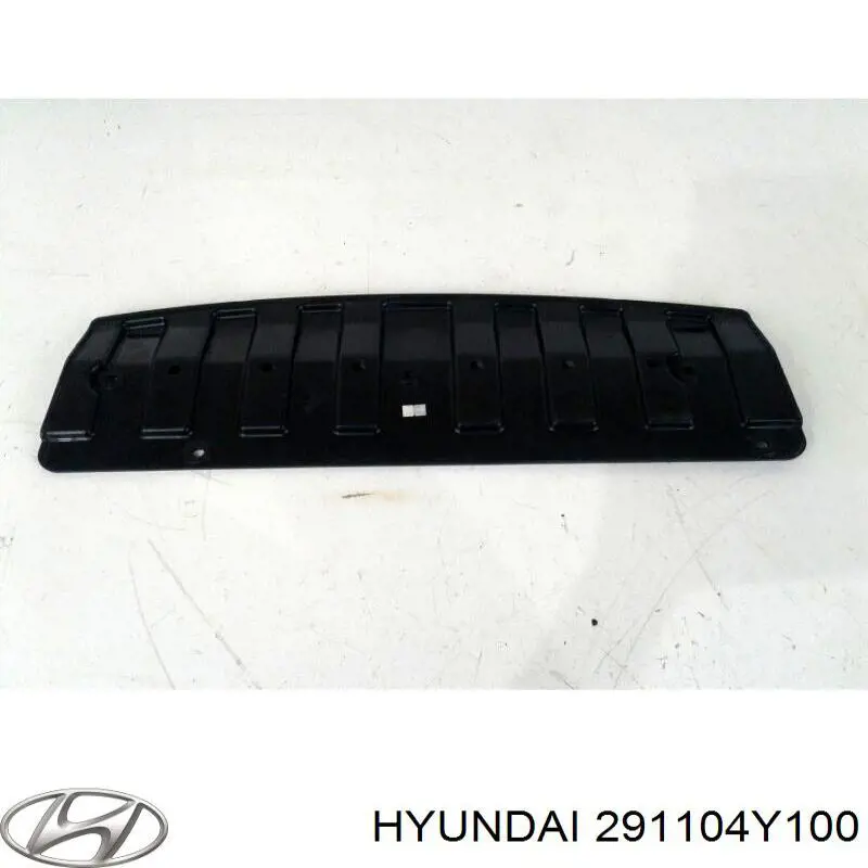 291104Y100 Hyundai/Kia захист двигуна передній