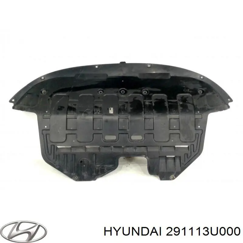  291113U000 Hyundai/Kia