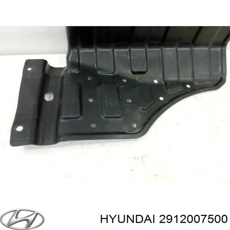 Захист двигуна, правий Hyundai/Kia 2912007500 ціна, від 15.47 USD