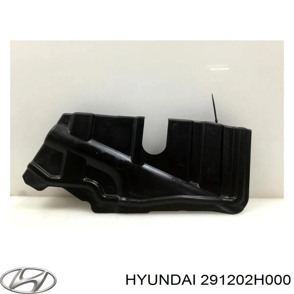 Захист двигуна, правий на Hyundai Elantra (HD)