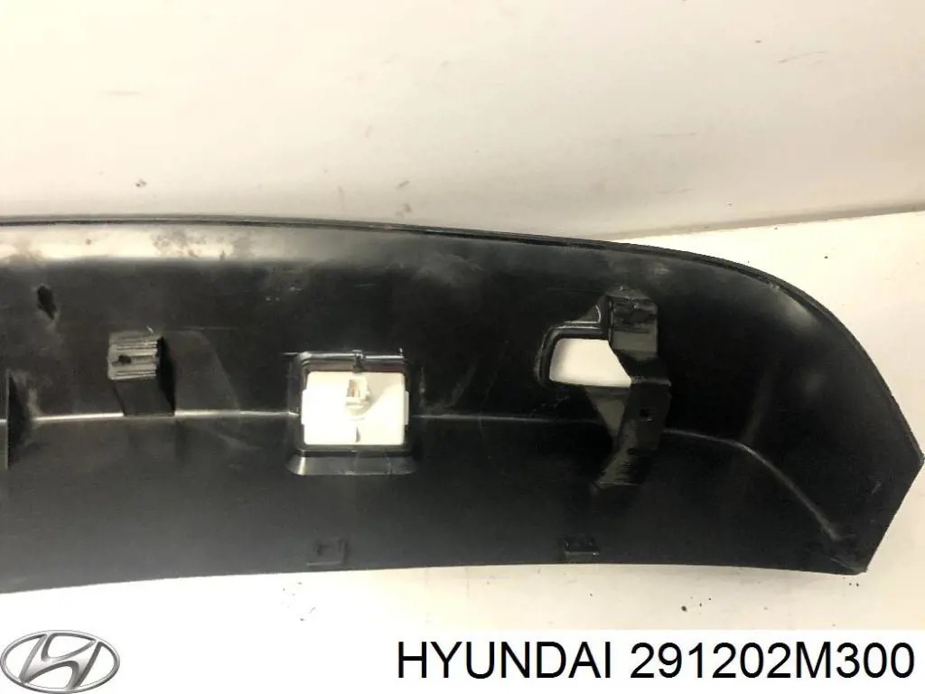 Купити 291202M300 Hyundai/Kia 