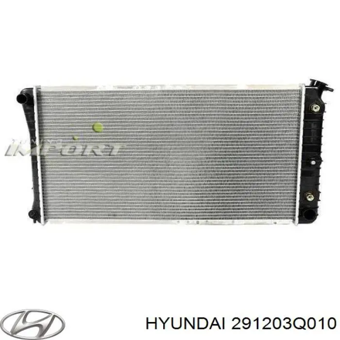  291203Q010 Hyundai/Kia