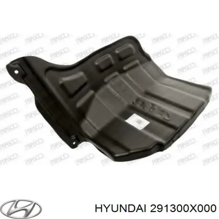 Захист двигуна, лівий Hyundai I10 (PA) (Хендай Ай 10)