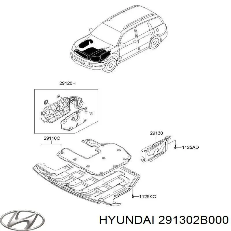 Захист двигуна, лівий Hyundai/Kia 291302B000 ціна, від 5.69 USD