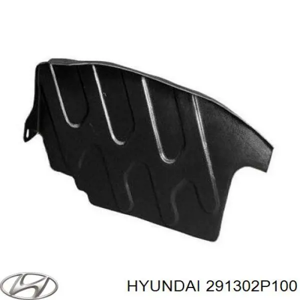 Захист двигуна, лівий Hyundai Santa Fe 2 (CM) (Хендай Санта фе)