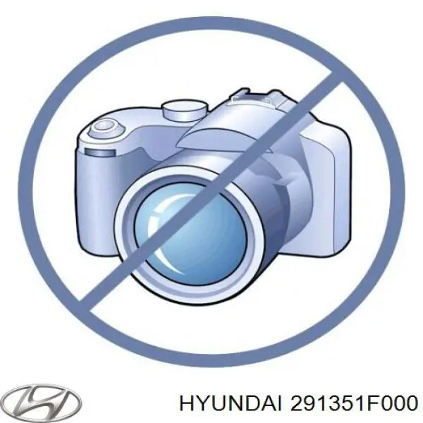 Повітропровід (дефлектор) радіатора, лівий Hyundai/Kia 291351F000 ціна, від 10.06 USD