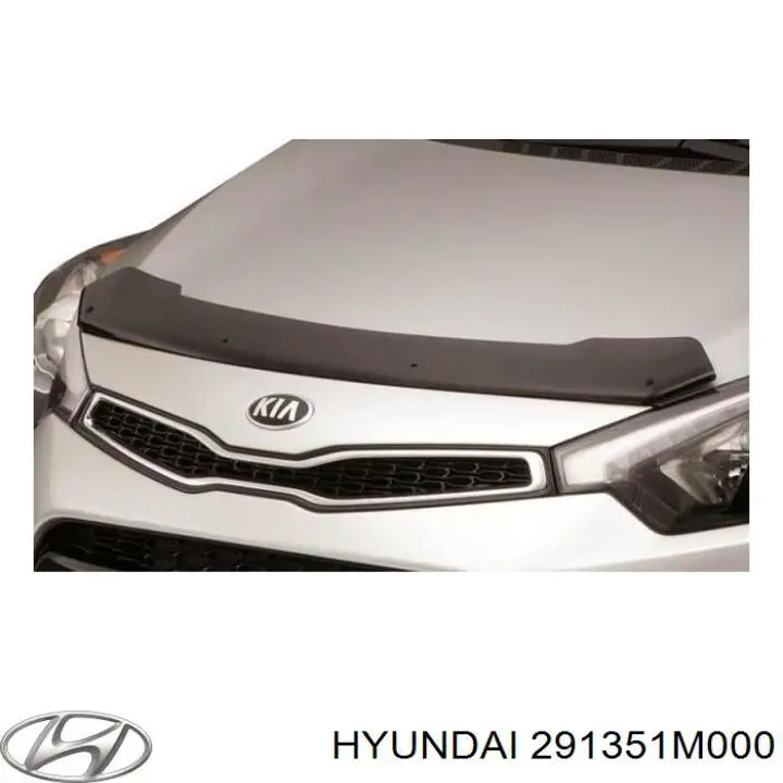  Hyundai/Kia 291351M000 ціна, від 11.05 USD