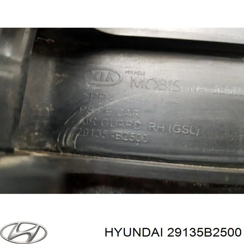 29135B2500 Hyundai/Kia 