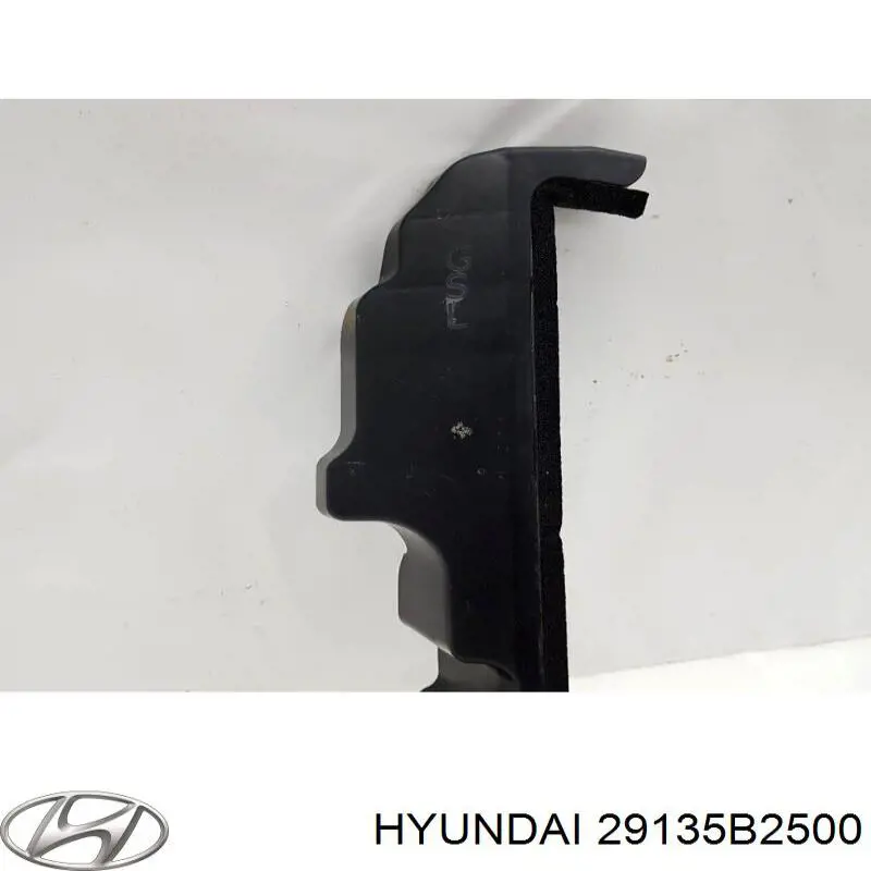  Hyundai/Kia 29135B2500 ціна, від 68.42 USD