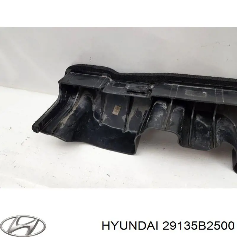 Купити 29135B2500 Hyundai/Kia 