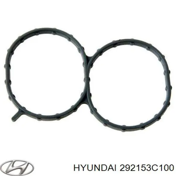 Прокладка впускного колектора Hyundai/Kia 292153C100 ціна, від 8.40 USD