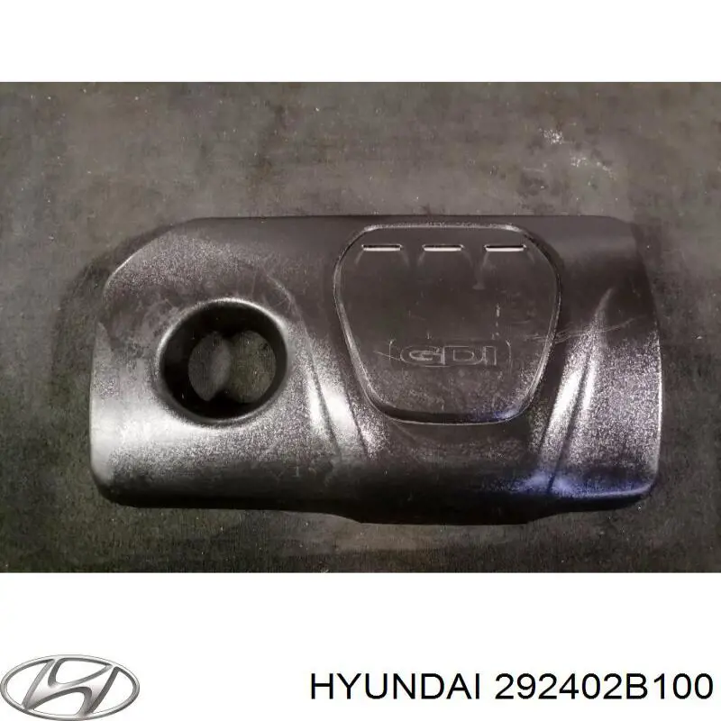 Кришка двигуна декоративна Hyundai Tucson (TL) (Хендай Таксон)