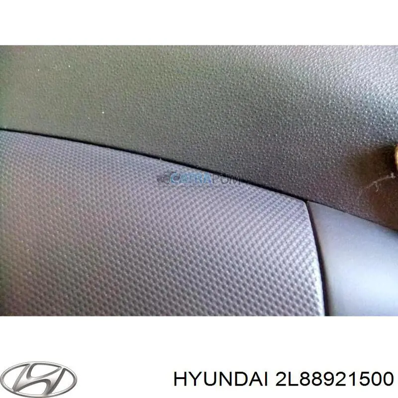 Купити 2L88921500 Hyundai/Kia 