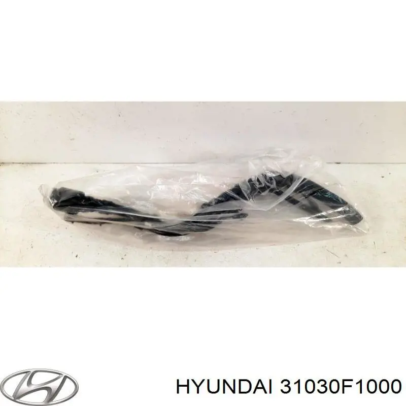 Шланг заливної горловини, паливного бака Hyundai/Kia 31030F1000 ціна, від 101.33 USD