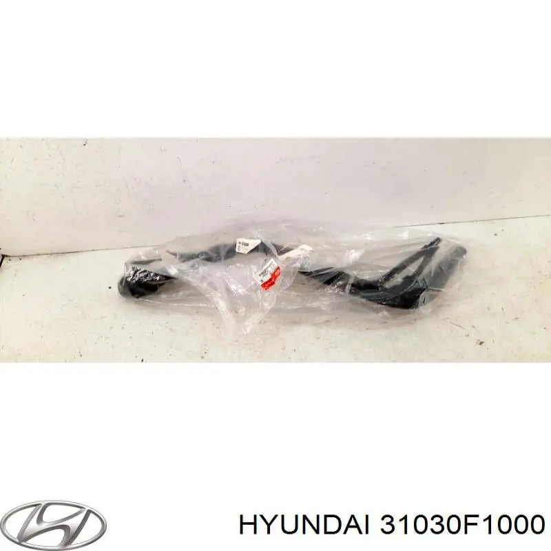31030F1000 Hyundai/Kia Шланг заливної горловини, паливного бака