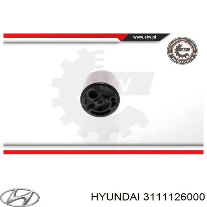 Паливний насос електричний, занурювальний Hyundai Santa Fe I позашляховик (SM) (2000 - 2006) ціна, від  USD