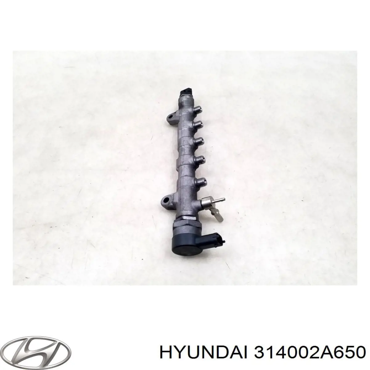 Рампа форсунок системи упорскування палива Hyundai/Kia 314002A650 ціна, від 15.31 USD