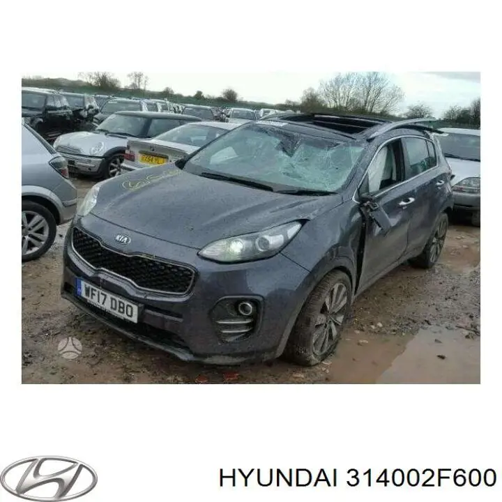 Рампа форсунок системи упорскування палива Hyundai/Kia 314002F600 ціна, від 24.55 USD