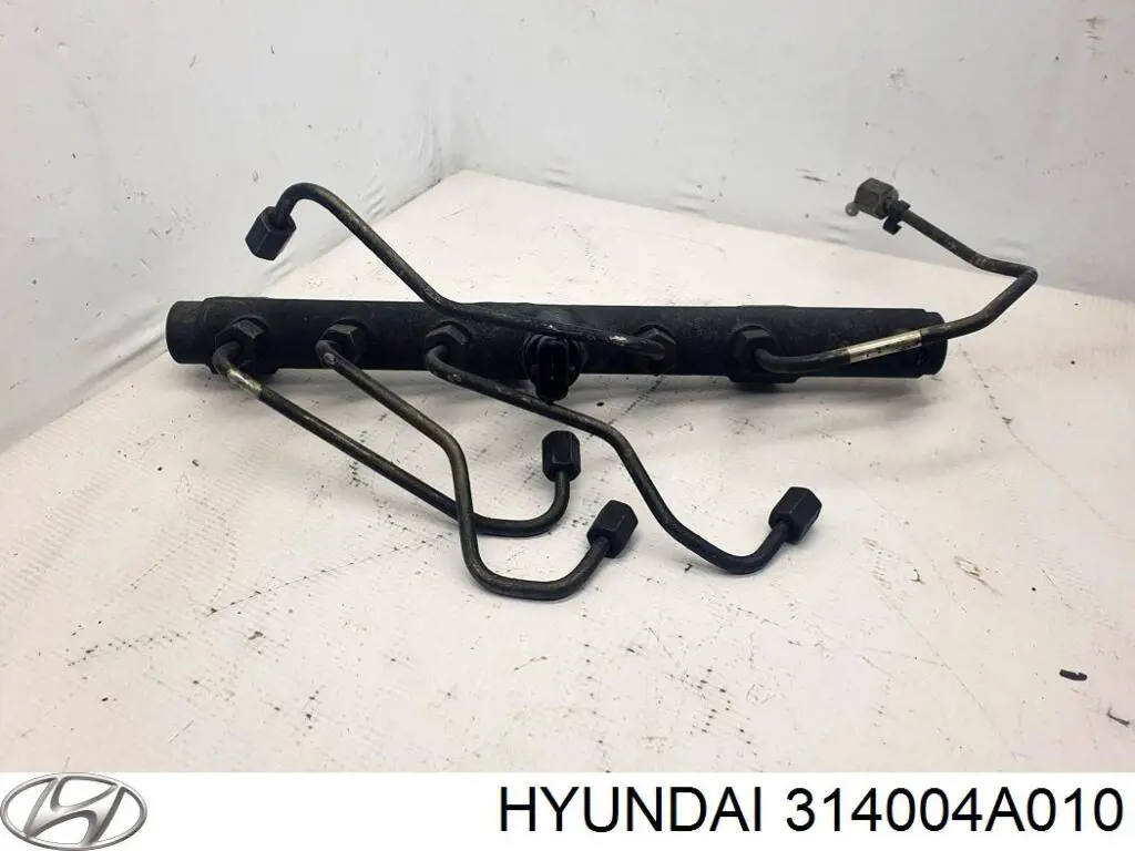 Рампа форсунок системи упорскування палива Hyundai/Kia 314004A010 ціна, від 6.33 USD