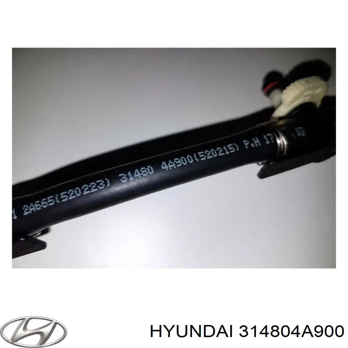 314804A900 Hyundai/Kia 