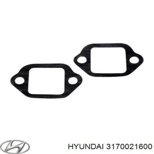  3170021600 Hyundai/Kia